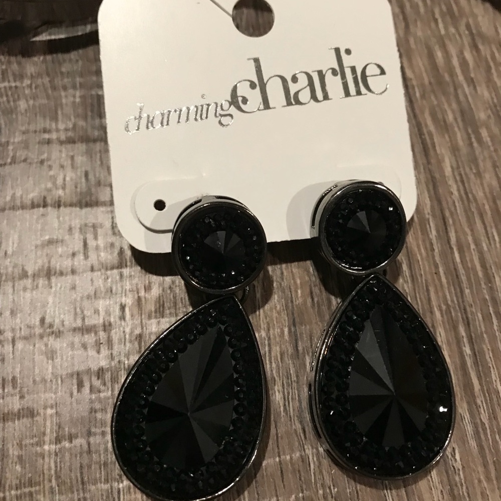Charming Charlie Earrings